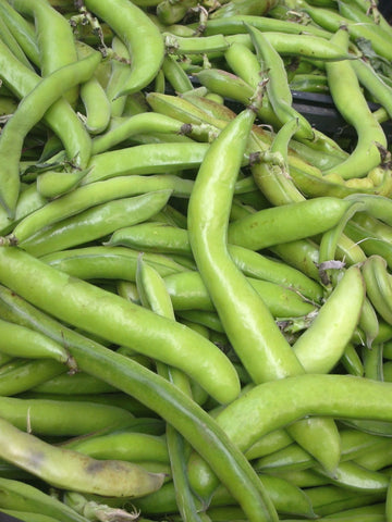 Broadbeans