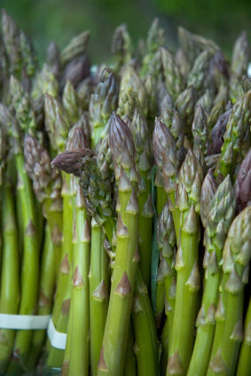 Asparagus