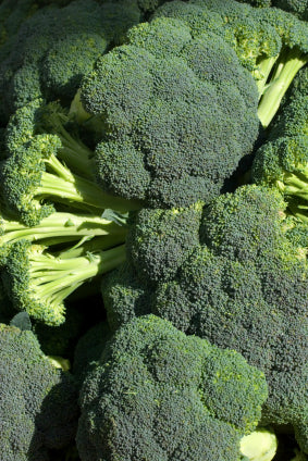 Broccoli