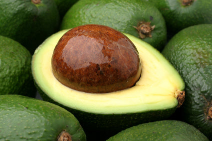 Avocado-Hass