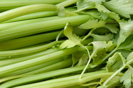 Celery