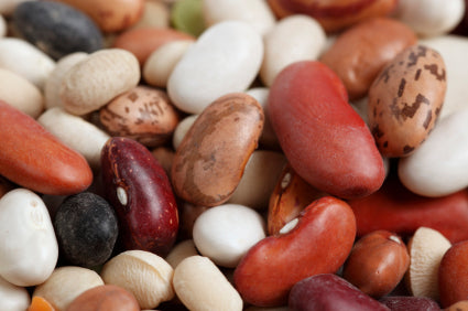 Canned beans